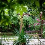 Green Apartment - Top Location, Near City Center!